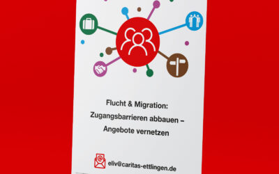 caritas_eliv_rollup_side_100x200